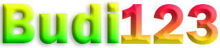 BUDI123